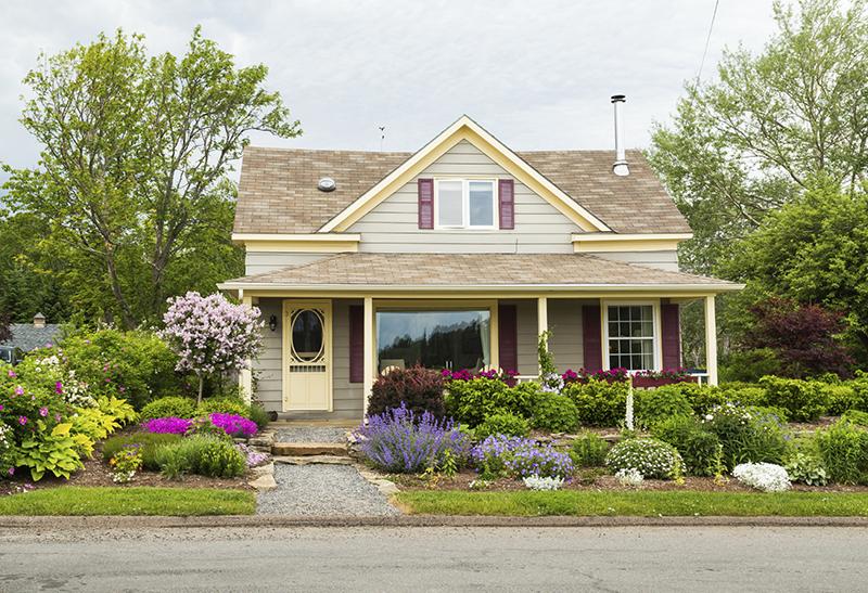 WeServe House With Blooming, Colorful Flowers in Front Yard 