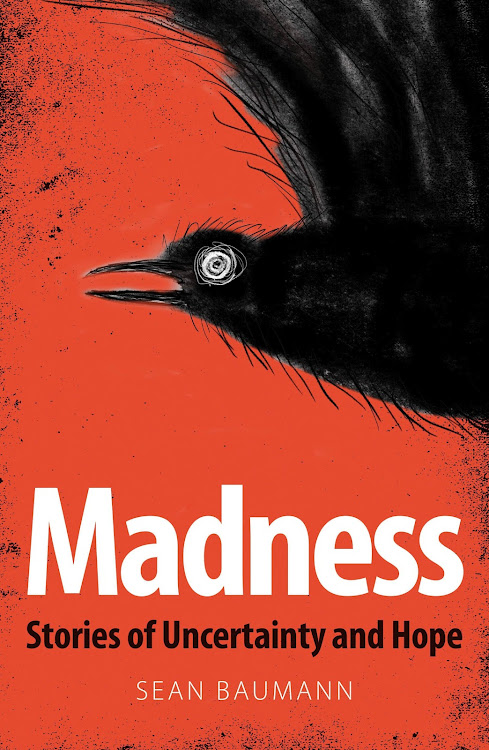 'Madness' by Sean Baumann.