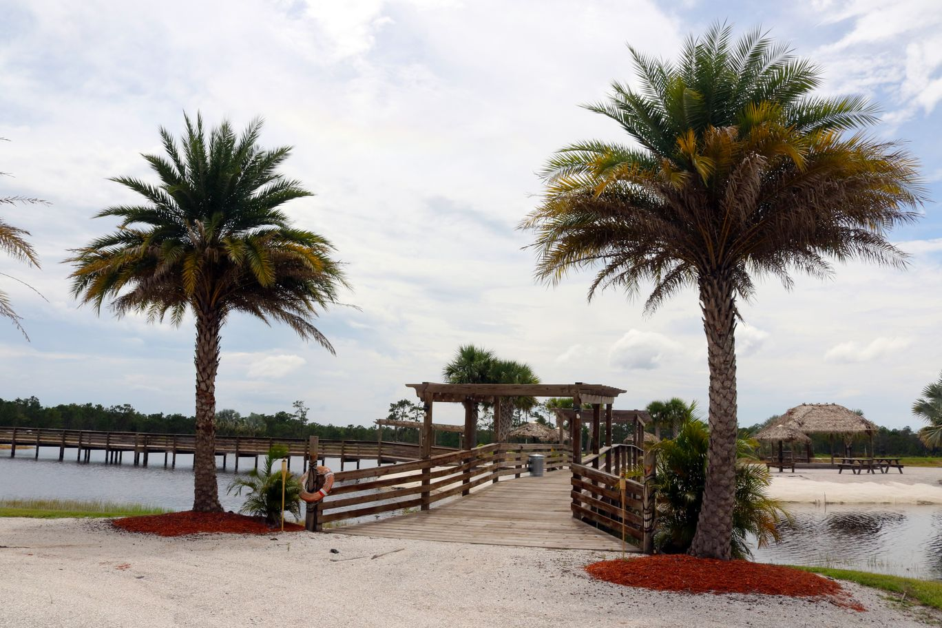 Palm trees and walking bridge at new RV resort.