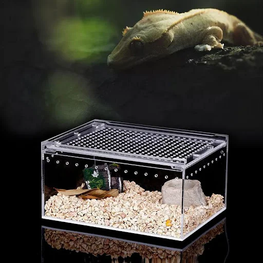 Transparent Acrylic Box Terrarium For Reptile And Amphibian Cricket Turtle Spider Snail Glass Shelter Terarium Terraria