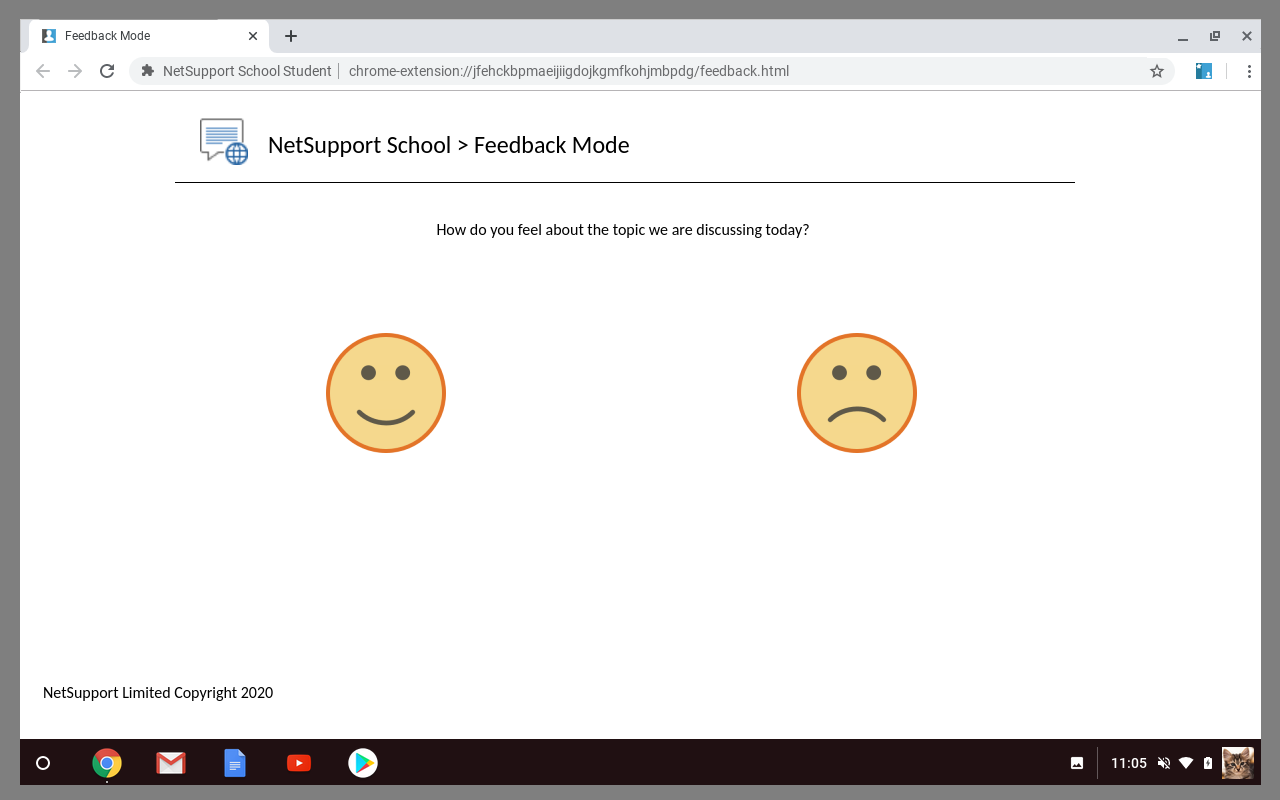 NetSupport School Student Preview image 3