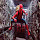 Spiderman Wallpaper tab