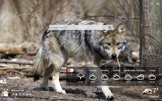 Loup New Tab, Fonds d'écran HD