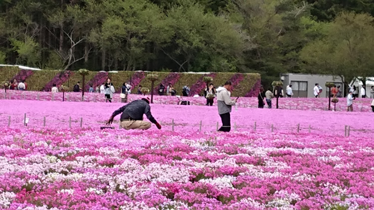 の投稿画像6枚目