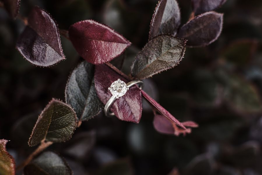 Fotógrafo de casamento Courtney Paige (courtneypaige). Foto de 8 de setembro 2019