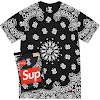 supreme®/hanes® bandana tagless tees (2 pack) fw22