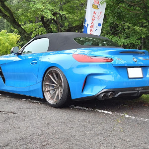 Z4 ロードスター G29