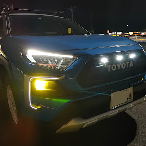 RAV4 MXAA54