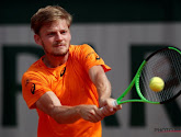 Federer grote winnaar op ATP-ranking, Goffin geeft terrein prijs en grote sprong voor Darcis en Bemelmans