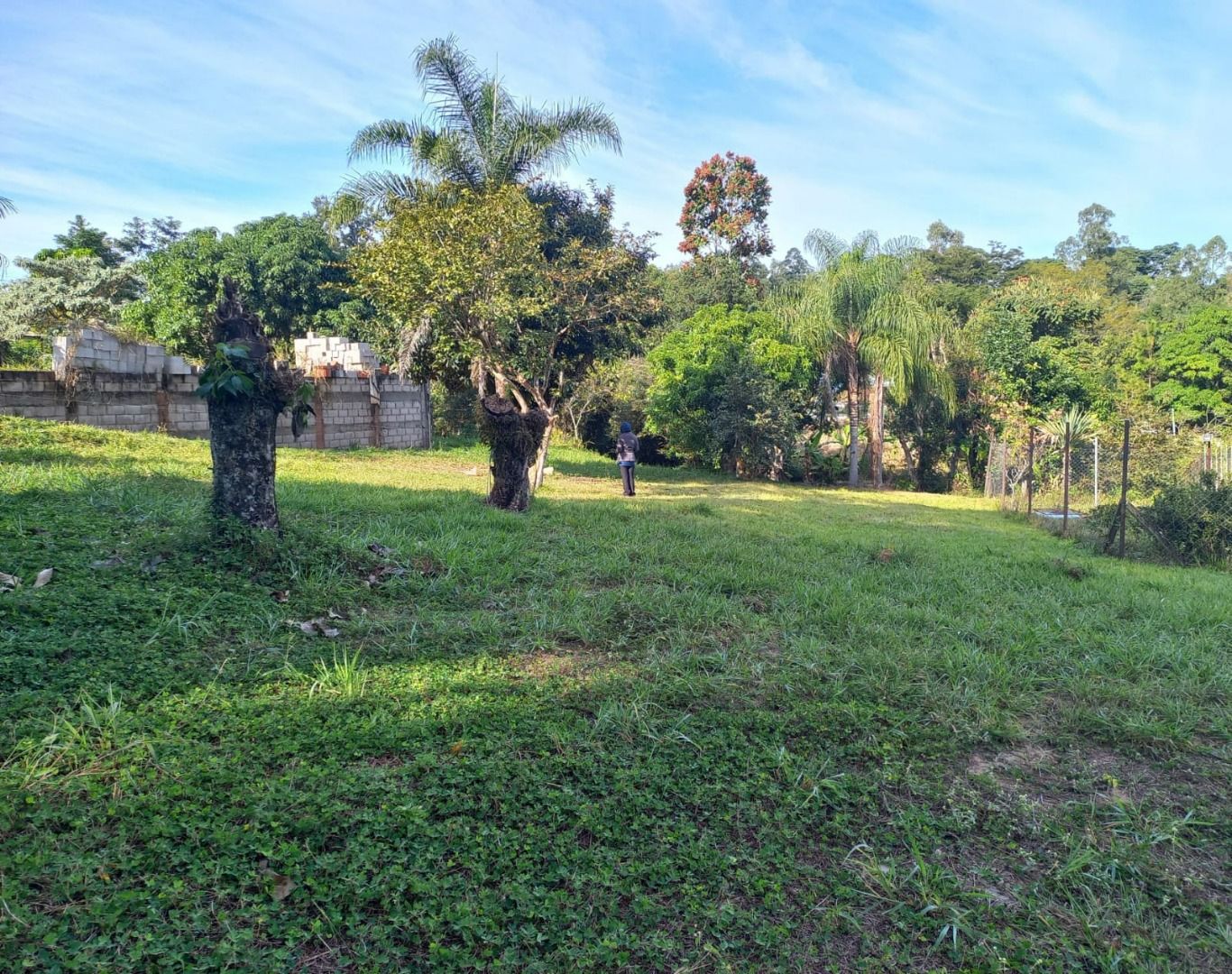 Terrenos à venda Pinheirinho