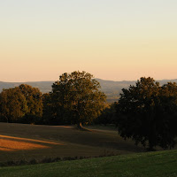 Castagni al tramonto di 