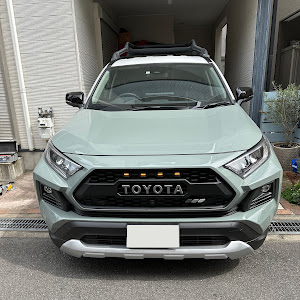 RAV4 MXAA54