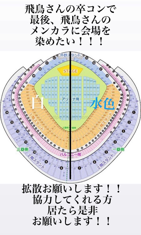 の投稿画像5枚目