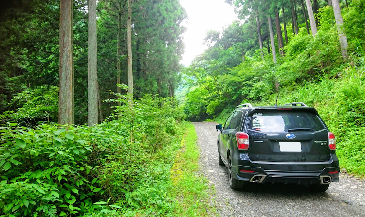 フォレスターの奥多摩・林道探索・人混みは避けて・4WDの遊び・SUBARUに関するカスタム事例の投稿画像1枚目