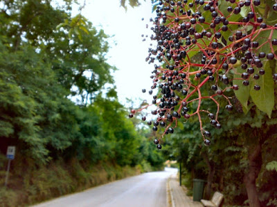 Strada di Chianche di The_Photographer_91