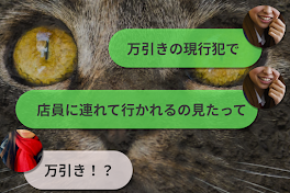 呼び寄せる猫