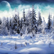 Best Winter Backgrounds  Icon