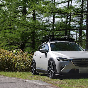 CX-3 DK5FW