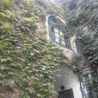 Edifici e natura in simbiosi di 