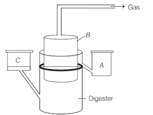 Microbes in production of biogas