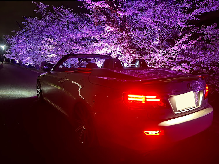 IS-Cの夜桜コラボ・レクサス・IS-C・ドライブに関するカスタム事例の投稿画像3枚目