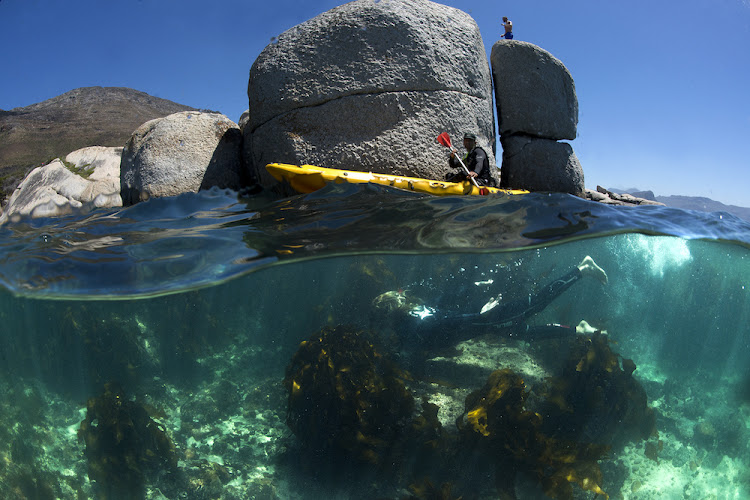 Snorkeling in False Bay.