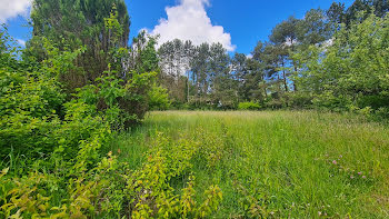 terrain à Saint-Martin-Bellevue (74)