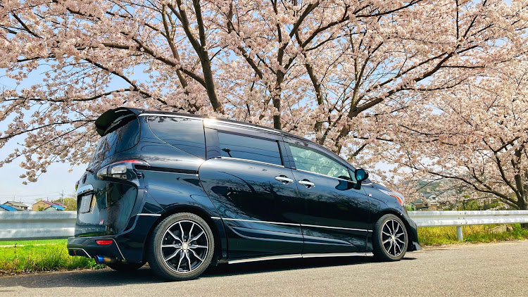 シエンタの桜と愛車・桜とコラボ・ピックアップ一度でも載ってみたいに関するカスタム事例の投稿画像3枚目