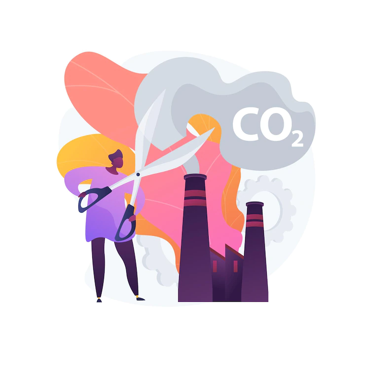 Check This API To Measure Carbon Produced By Different Shipping Methods  