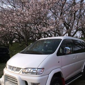 デリカスペースギア PD6W