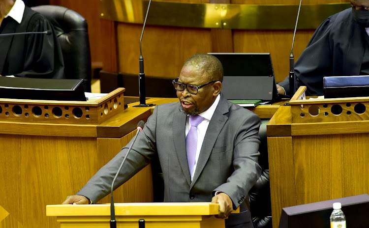 Finance minister Enoch Godongwana speaks during his medium-term budget policy statement in the National Assembly on November 11 2021. Picture: GCIS/ELMOND JIYANE