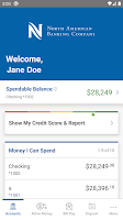 North American Banking Company Screenshot