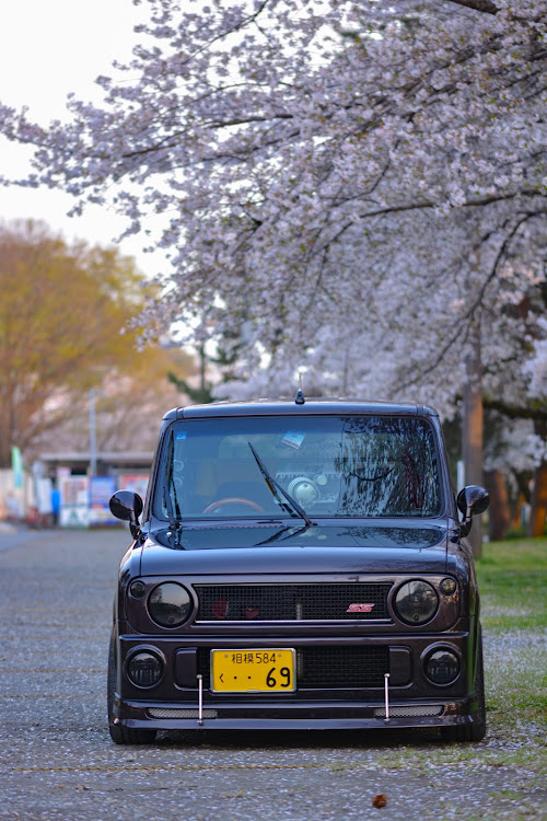 アルトラパンのさくら・さくラパン・春の風物詩・日本に生まれて良かったに関するカスタム事例の投稿画像2枚目