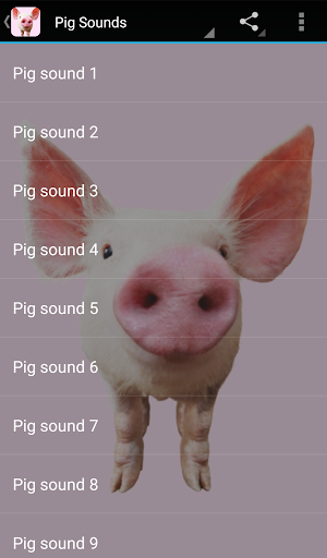 Screenshot Pig Sounds