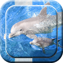 Dolphin Live Wallpapers mobile app icon