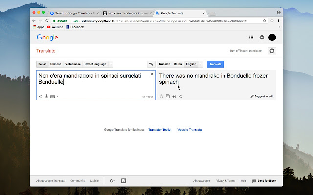 Translator google