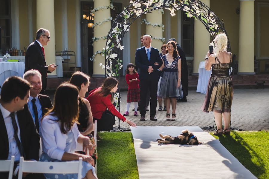 Fotógrafo de bodas Tamas Sandor (stamas). Foto del 23 de septiembre 2021