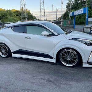 C-HR NGX10