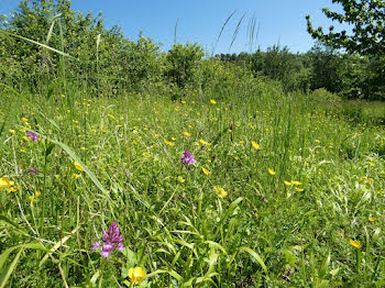 terrain à Puylaroque (82)