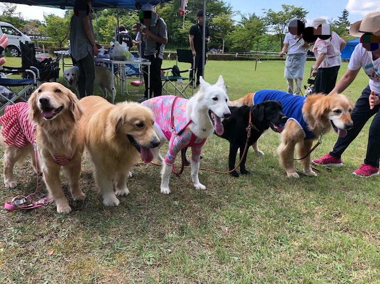 RX-7のキャンピングカー・カッコイイFC保存会・犬の大会・俺は頑張った・犬tuneに関するカスタム事例の投稿画像11枚目