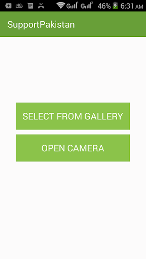 Pakistani Flag DP Maker