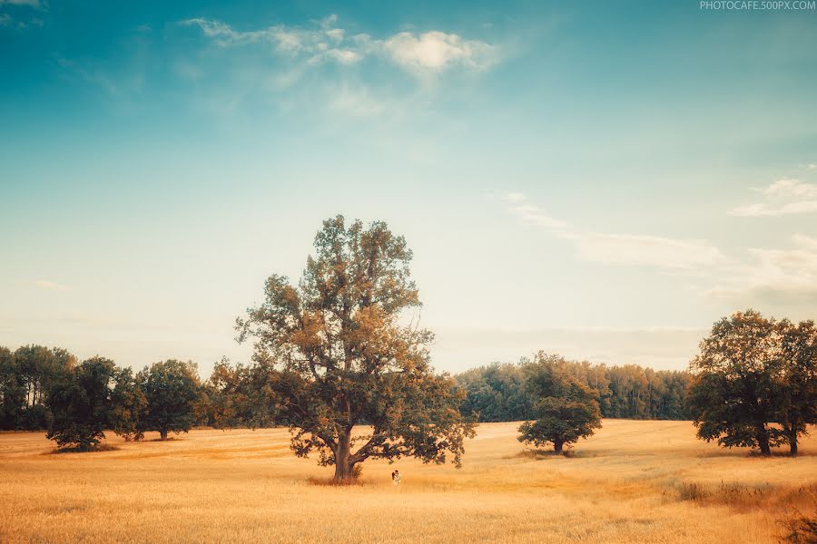 Φωτογράφος γάμων Anton Kuznecov (photocafe). Φωτογραφία: 13 Νοεμβρίου 2014