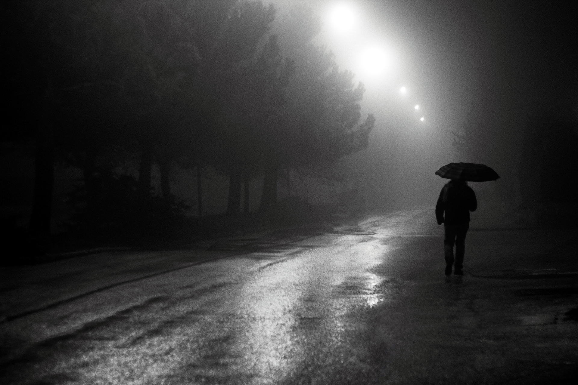 notte di nebbia di rino_savastano