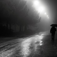 notte di nebbia di 