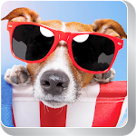 Wallpapers Animals Series 1 Apk