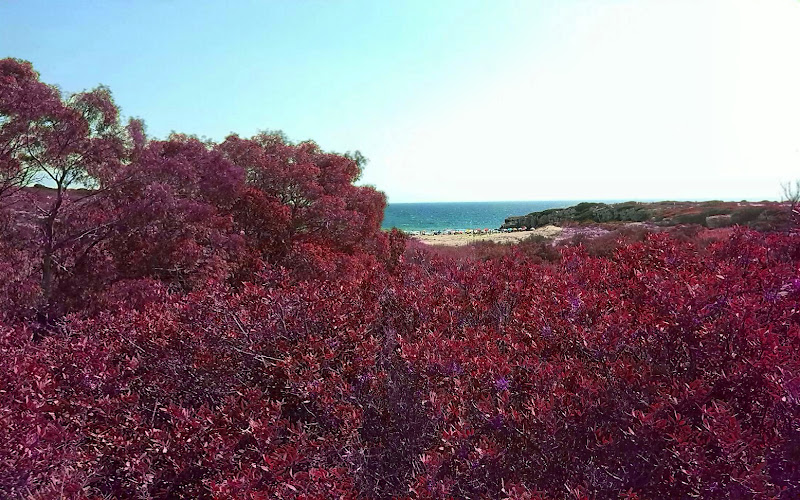 persi nella natura di scattiale