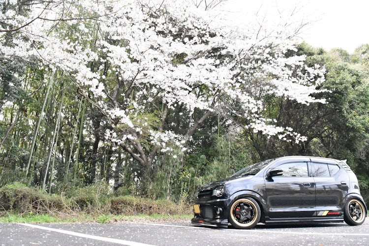アルトワークスの桜とコラボ・洗車に関するカスタム事例の投稿画像6枚目