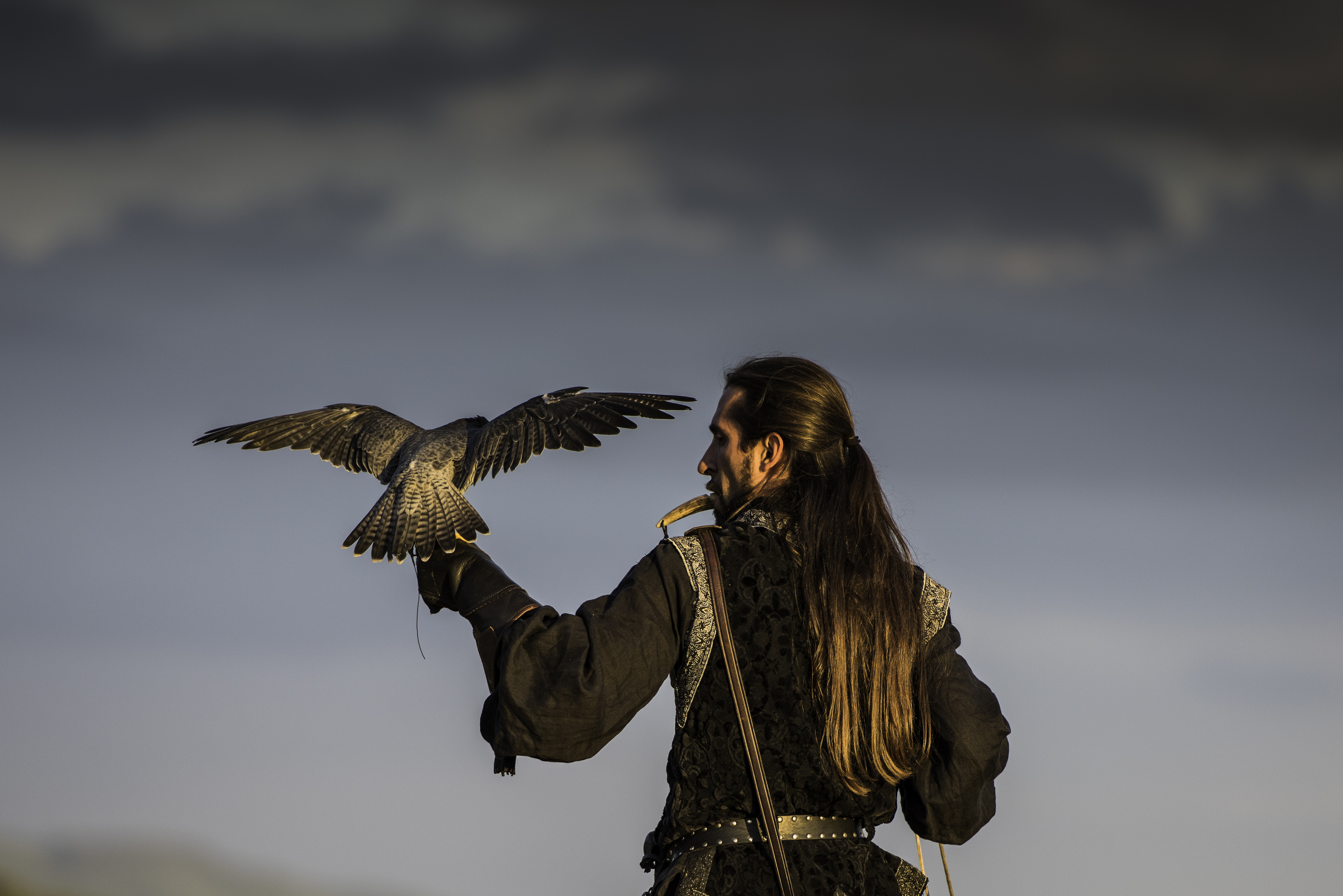 Il falconiere di Fiore Doncovio