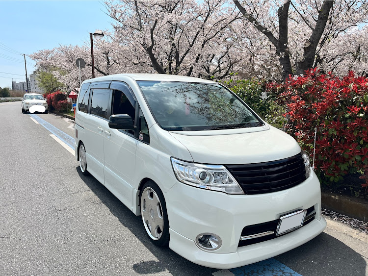 セレナの可愛い我が子・桜とコラボ・サクラと愛車・坐骨神経痛との戦い・洗車に関するカスタム事例の投稿画像1枚目