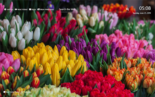 Tulips Tema ng Tema ng Bagong HD Tab